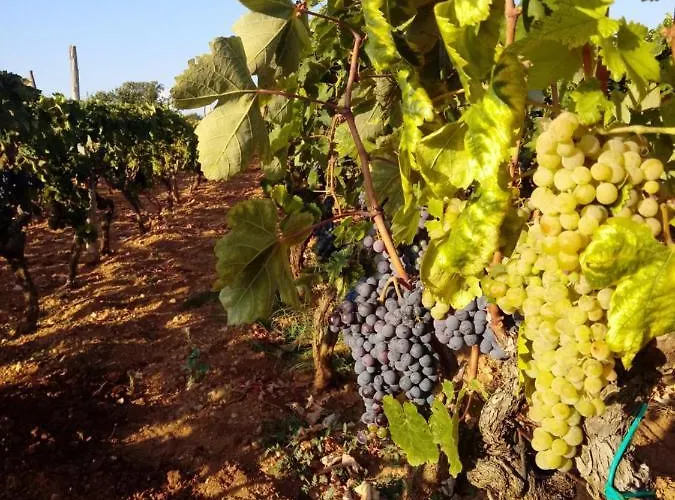 Stone Pearl With Heated Swimming Pool *