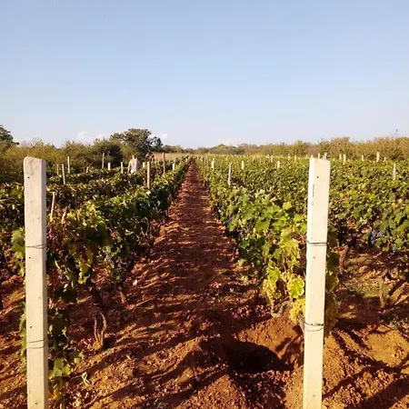 Vila Stone Pearl With Heated Swimming Pool *